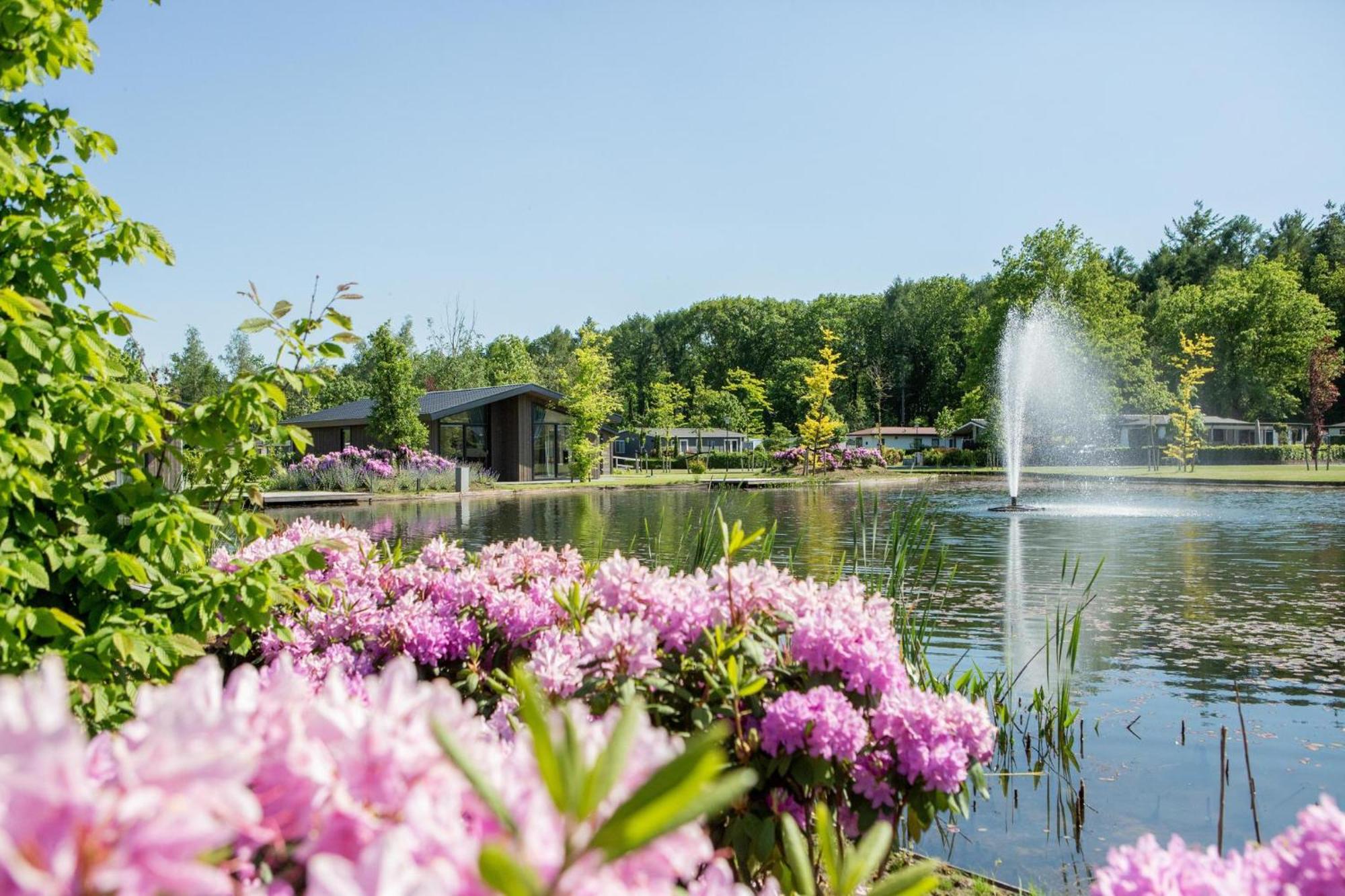 Vakantiepark Molenvelden 费尔德霍芬 外观 照片